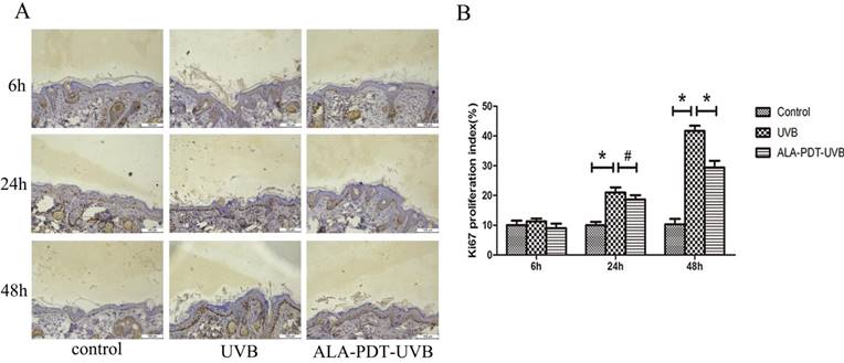 Int J Biol Sci Image