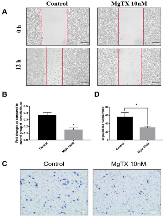 Int J Biol Sci Image