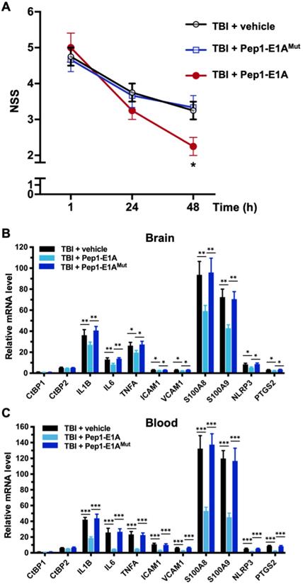 Int J Biol Sci Image