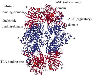 Int J Biol Sci Image