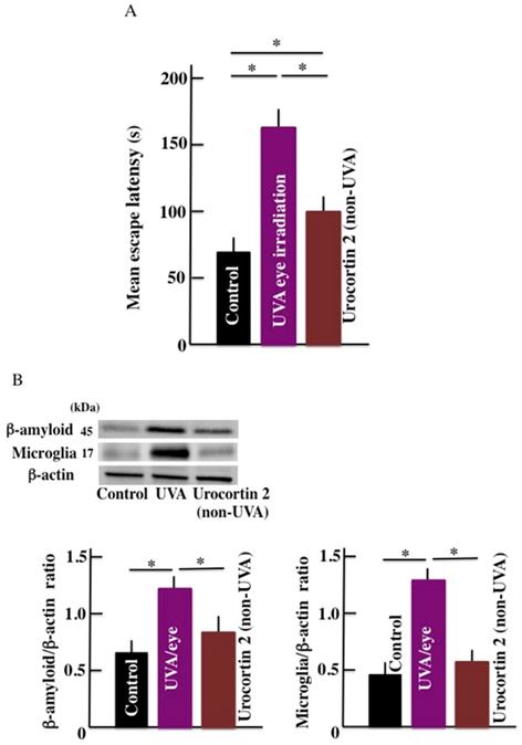 Int J Biol Sci Image