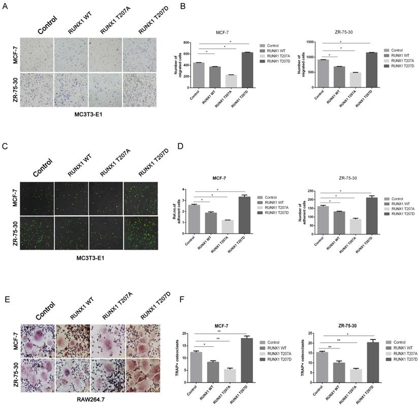 Int J Biol Sci Image