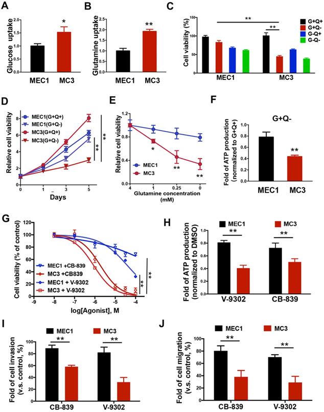Ndrg2 Ablation Reprograms Metastatic Cancer Cells Towards Glutamine Dependence Via The Induction Of Asct2