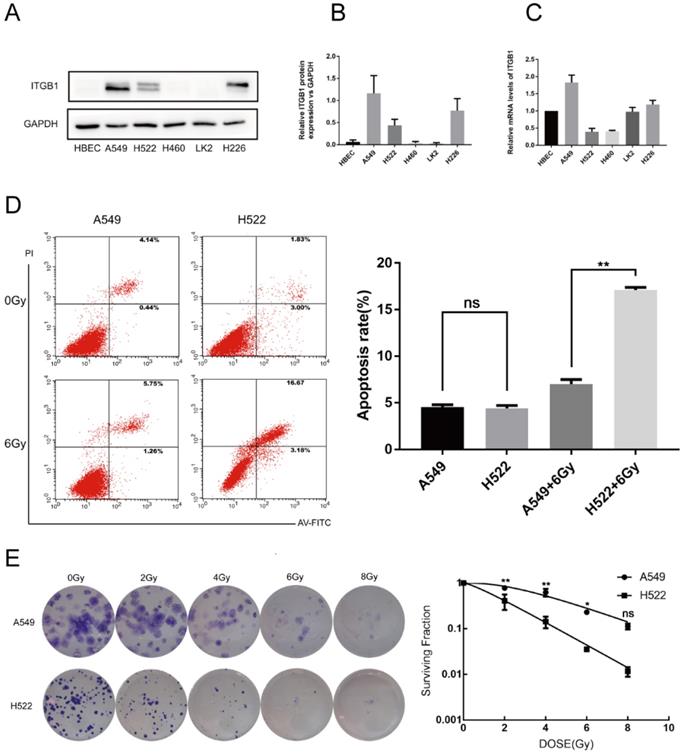 Int J Biol Sci Image