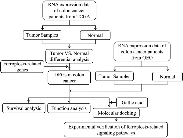 Progress of Gastric Cancer Surgery in the era of Precision Medicine