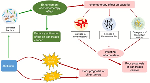 Virulence Definition and Examples - Biology Online Dictionary