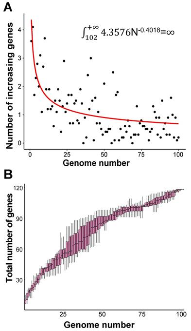 Gene Presence/Absence Variation analysis of coronavirus family displays ...