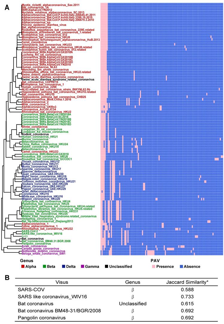 Gene Presence/Absence Variation analysis of coronavirus family displays ...