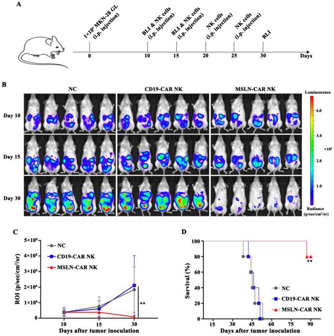 Int J Biol Sci Image
