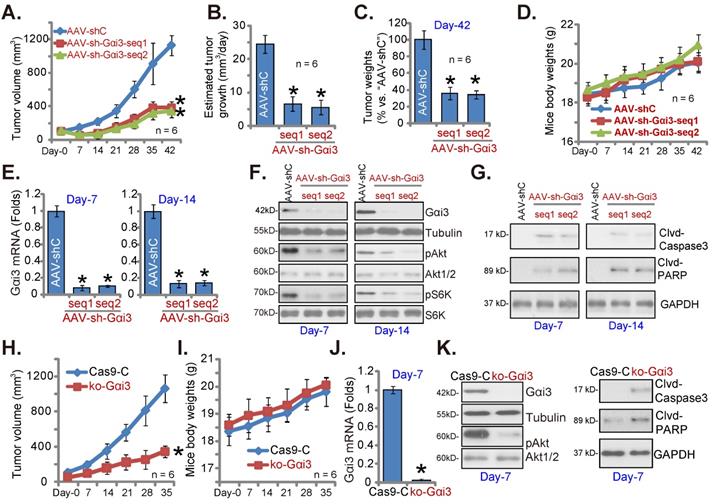 Identification of Gαi3 as a promising target for osteosarcoma 