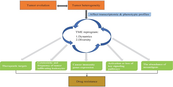 Cellular heterogeneity and immune microenvironment revealed by