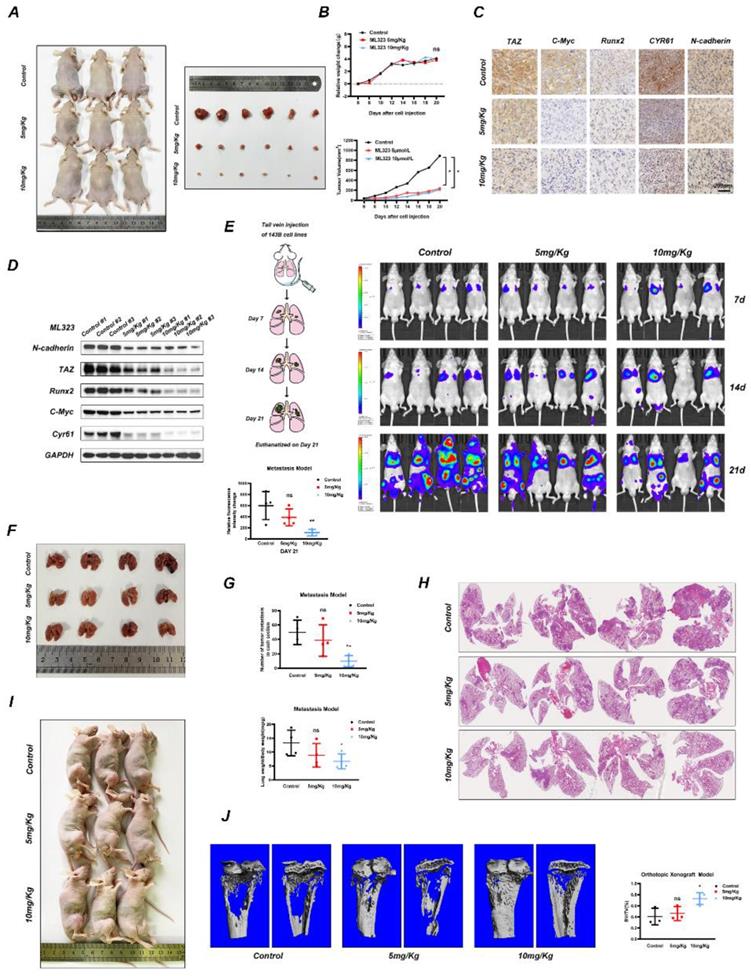 Int J Biol Sci Image