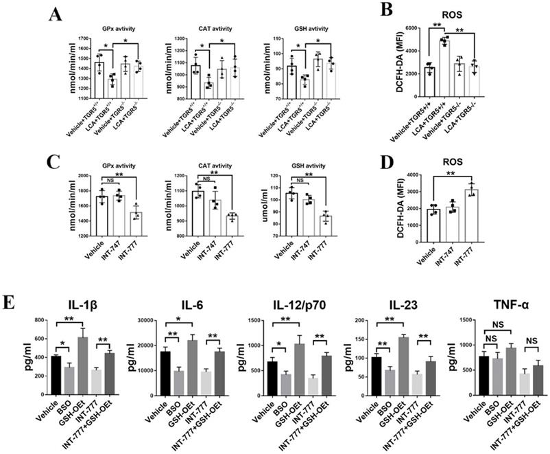 Int J Biol Sci Image