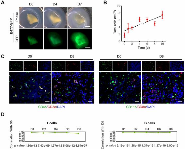 Int J Biol Sci Image