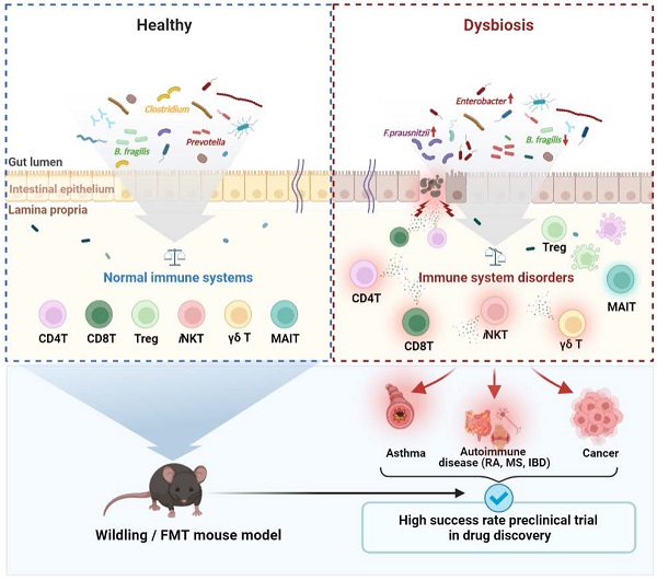 Involvement of sulfate groups in the immune cross-reactivity between