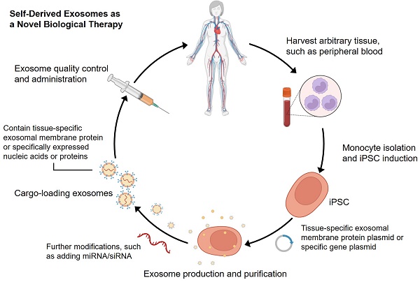 V-Tech System  Intensive Exosomes Treatment