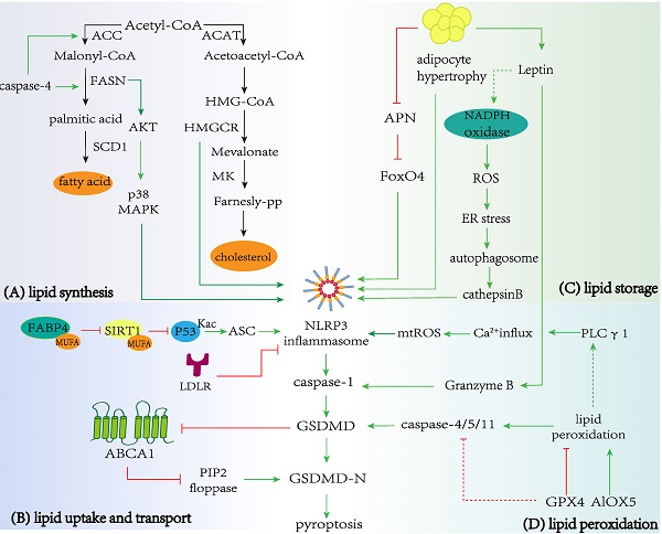 PDF] Oxidative Stress: A Pathogenic Mechanism for Niemann-Pick Type C  Disease