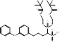 Int J Biol Sci inline graphic