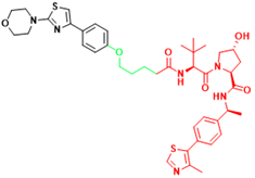 Int J Biol Sci inline graphic