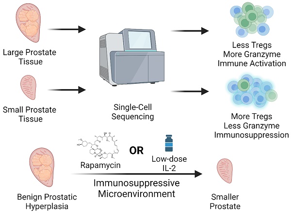 Volume 19 Issue 11 Ijbs