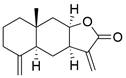 Int J Biol Sci inline graphic