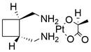 Int J Biol Sci inline graphic