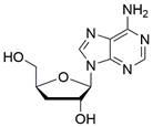 Int J Biol Sci inline graphic