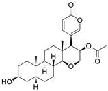 Int J Biol Sci inline graphic