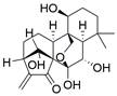 Int J Biol Sci inline graphic