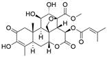 Int J Biol Sci inline graphic