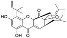 Int J Biol Sci inline graphic