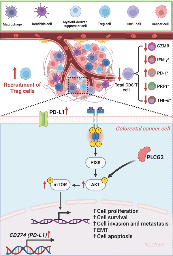 Cancer Cell Signalling