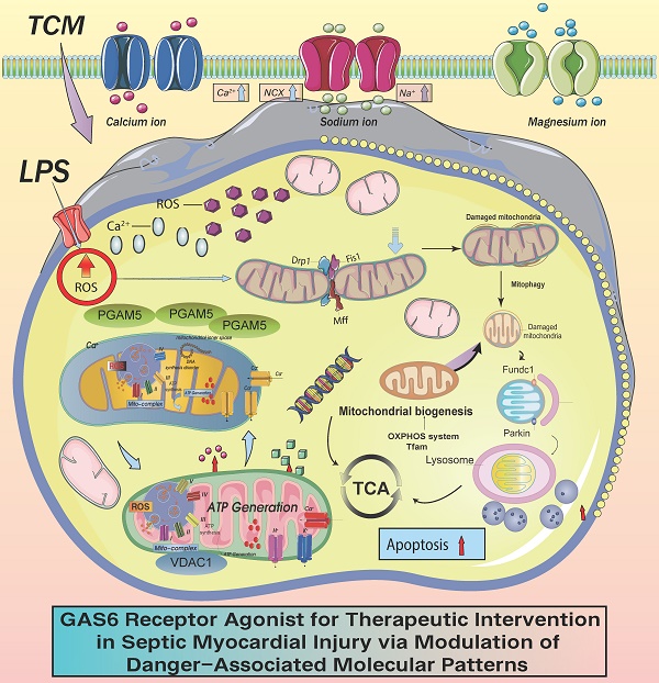 High-Throughput Screening of an FDA-Approved Compound Library