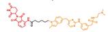 Int J Biol Sci inline graphic