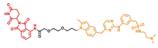 Int J Biol Sci inline graphic