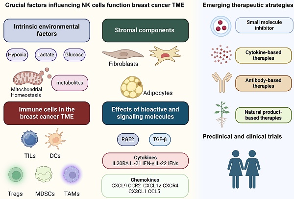 Sensitization of tumours to immunotherapy by boosting early type-I interferon responses enables epitope spreading – Nature