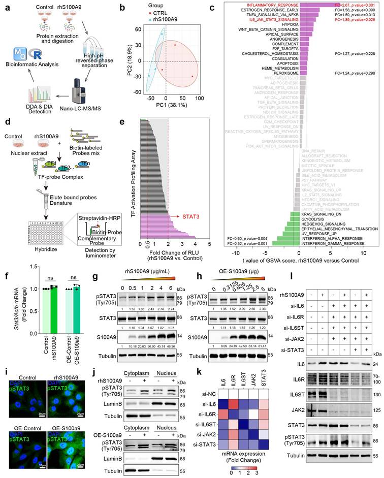 Int J Biol Sci Image