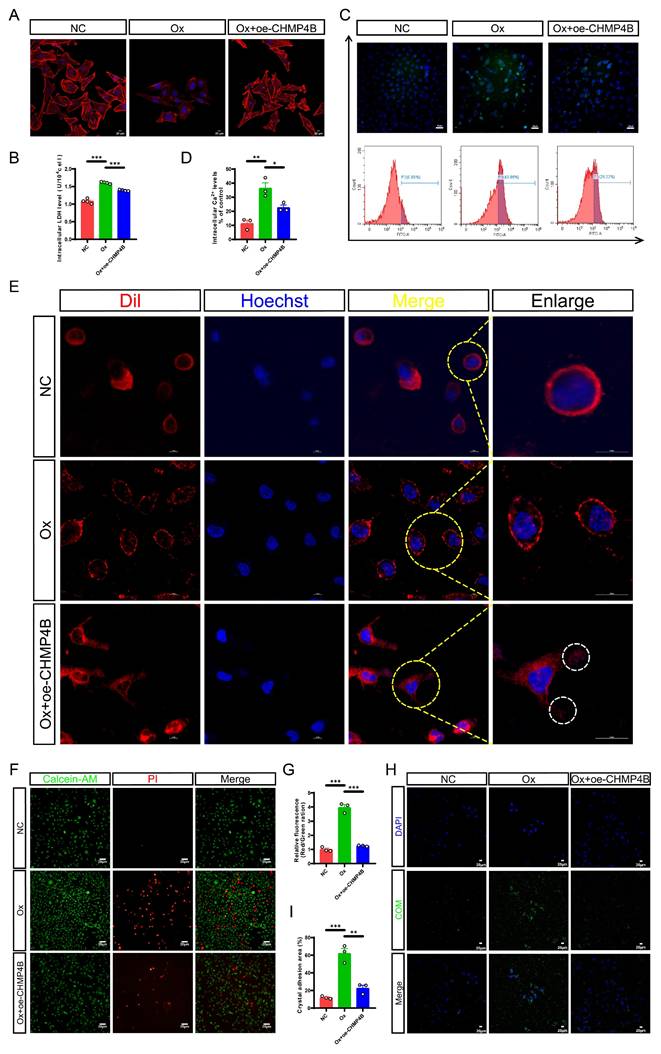 Int J Biol Sci Image
