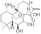 Int J Biol Sci inline graphic