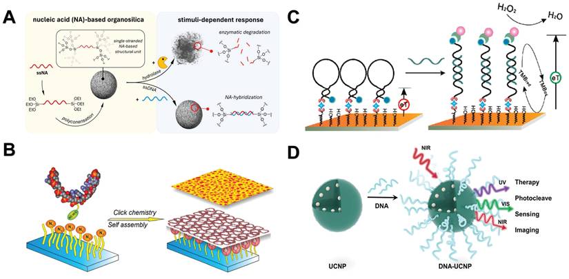 Int J Biol Sci Image