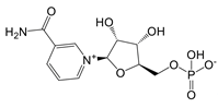 Int J Biol Sci inline graphic