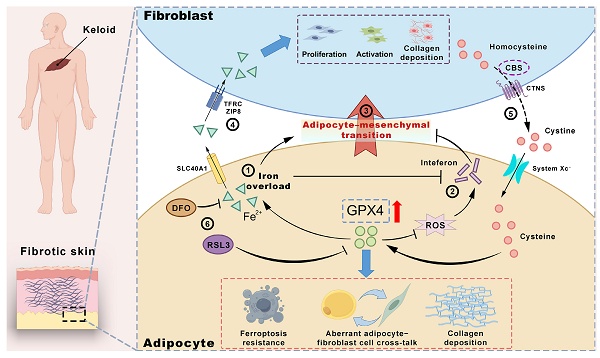 *p(R)ojectR® новий дроп – oversize футболка з дизайном 