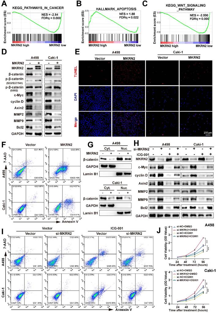 Int J Biol Sci Image