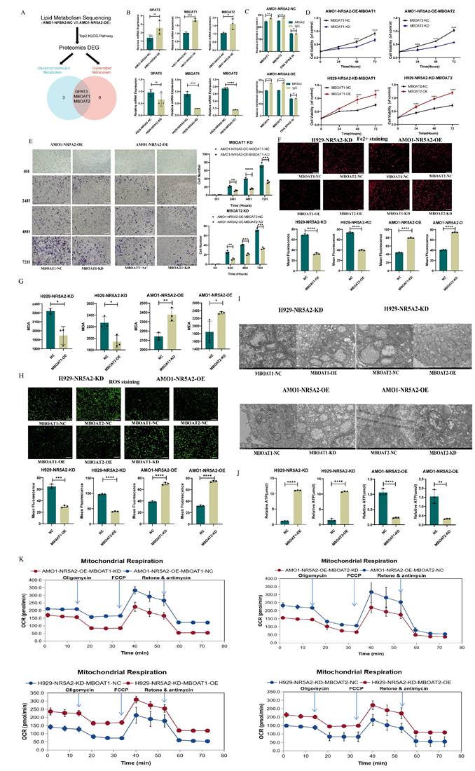 Int J Biol Sci Image