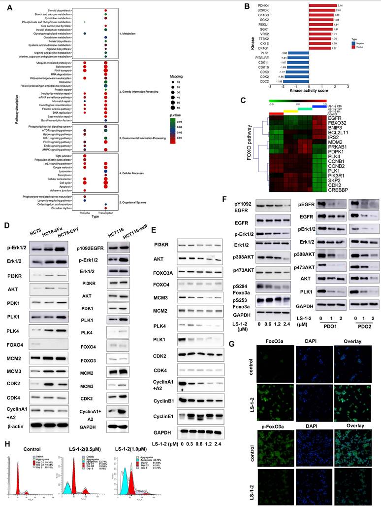 Int J Biol Sci Image