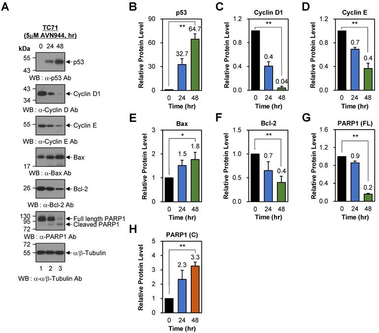 Int J Biol Sci Image