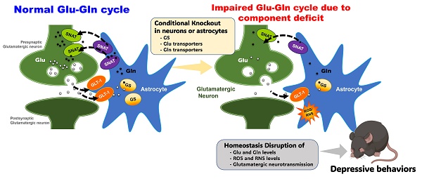 glutathione depression The Benefits of Glutathione in Fort Lauderdale, FL