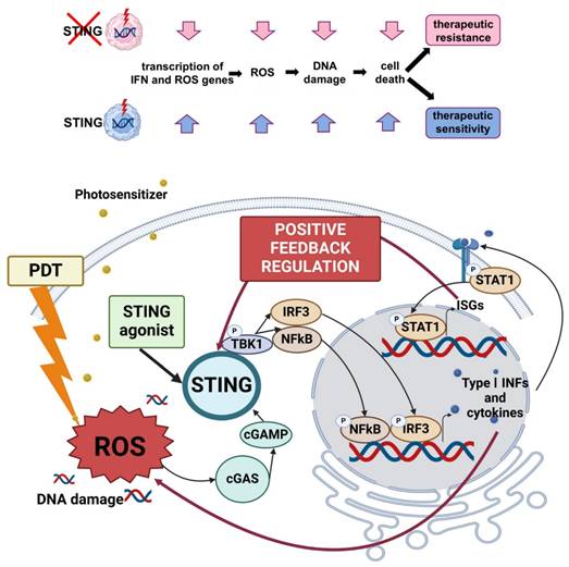 Int J Biol Sci Image