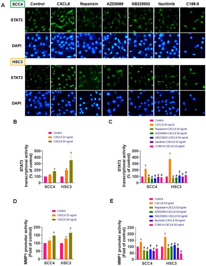Int J Biol Sci Image