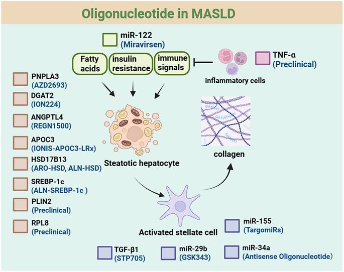 Int J Biol Sci Image